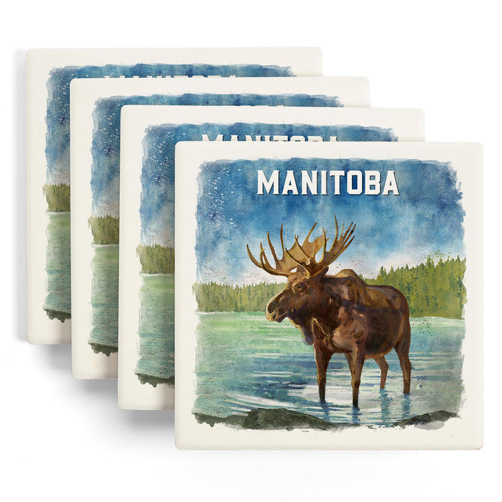 Manitoba, Watercolor Study, Moose, Coaster Set