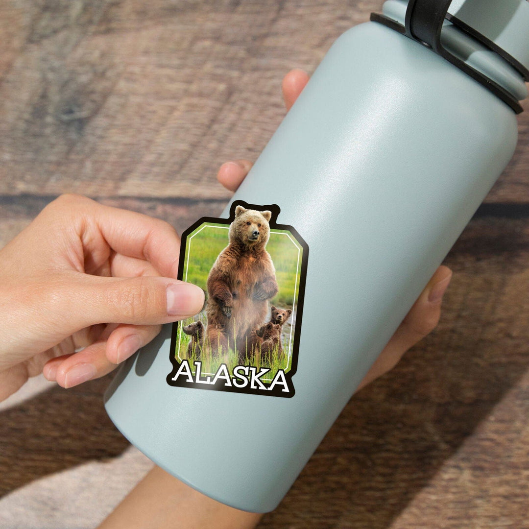 Alaska, Grizzly Bear and Cubs, Contour, Vinyl Sticker Sticker Lantern Press 