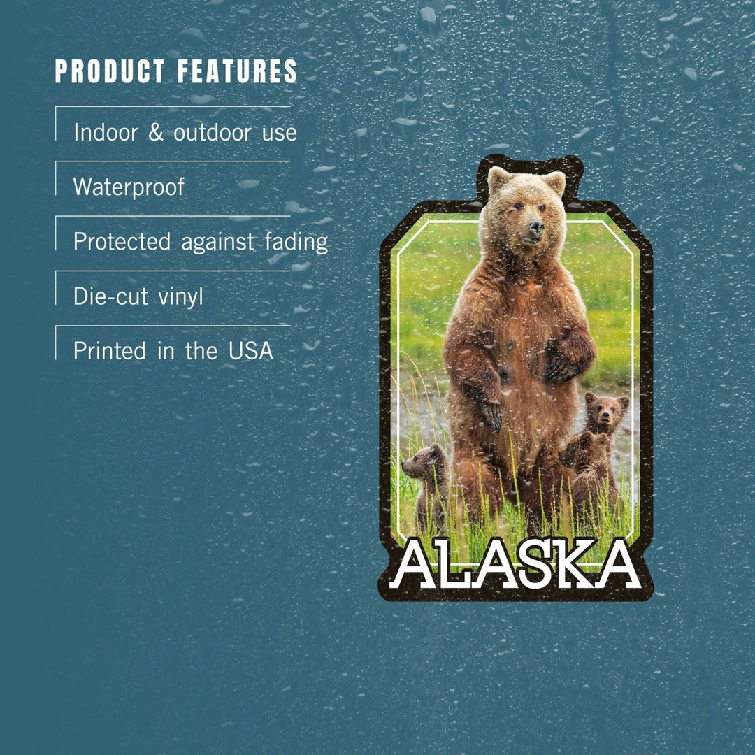 Alaska, Grizzly Bear and Cubs, Contour, Vinyl Sticker Sticker Lantern Press 