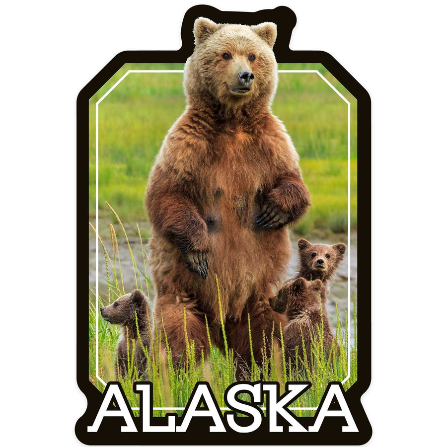 Alaska, Grizzly Bear and Cubs, Contour, Vinyl Sticker Sticker Lantern Press 