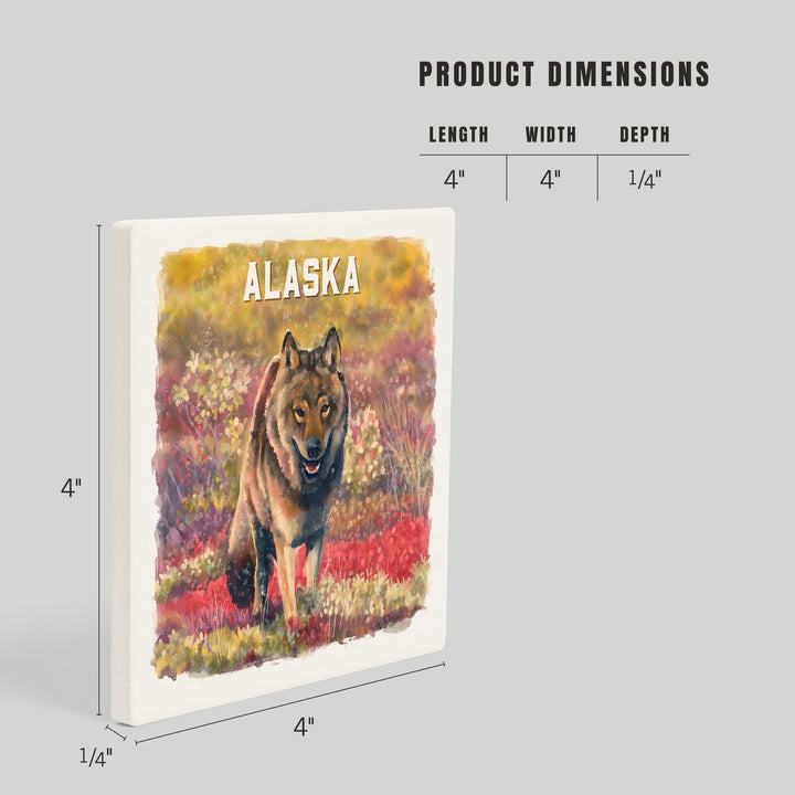 Alaska, Watercolor Study, Gray Wolf, Coasters Coasters Lantern Press 