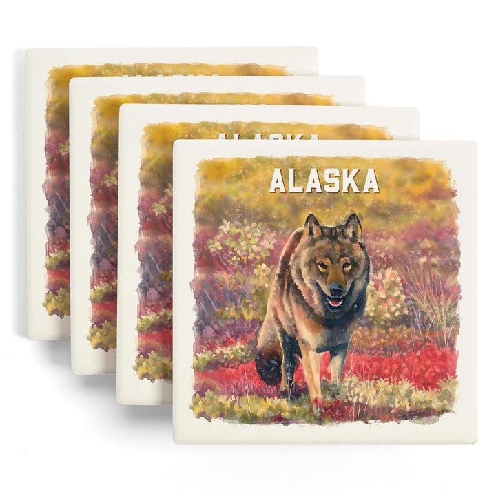 Alaska, Watercolor Study, Gray Wolf, Coasters Coasters Lantern Press 