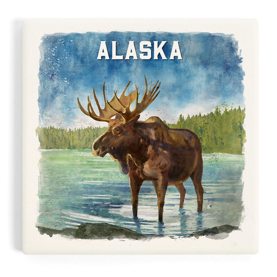 Alaska, Watercolor Study, Moose, Coasters Coasters Lantern Press 