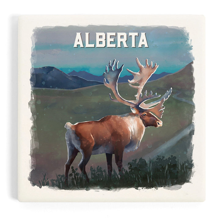 Alberta, Watercolor Study, Caribou, Coasters Coasters Lantern Press Coaster 