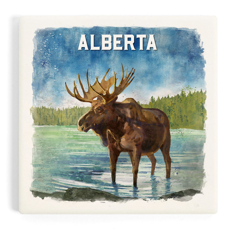 Alberta, Watercolor Study, Moose, Coasters Coasters Lantern Press 