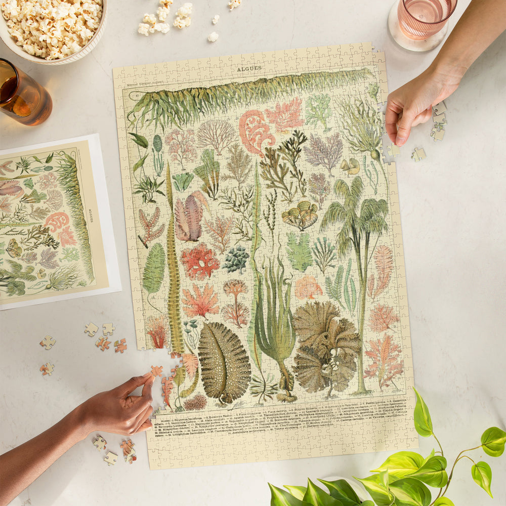 Algae, Vintage Bookplate, Adolphe Millot Artwork, Jigsaw Puzzle Puzzle Lantern Press 