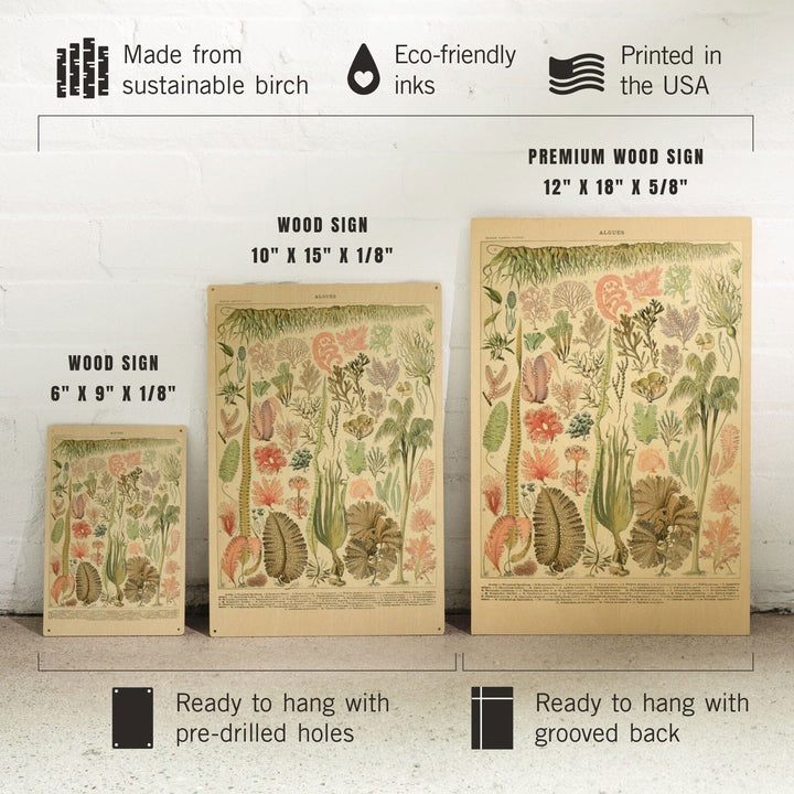 Algae, Vintage Bookplate, Adolphe Millot Artwork, Wood Signs and Postcards Wood Lantern Press 