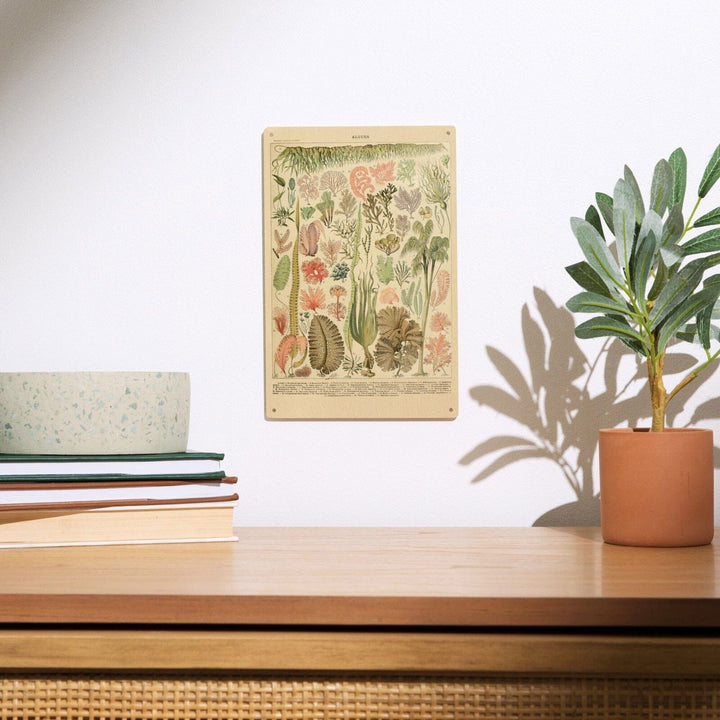 Algae, Vintage Bookplate, Adolphe Millot Artwork, Wood Signs and Postcards Wood Lantern Press 