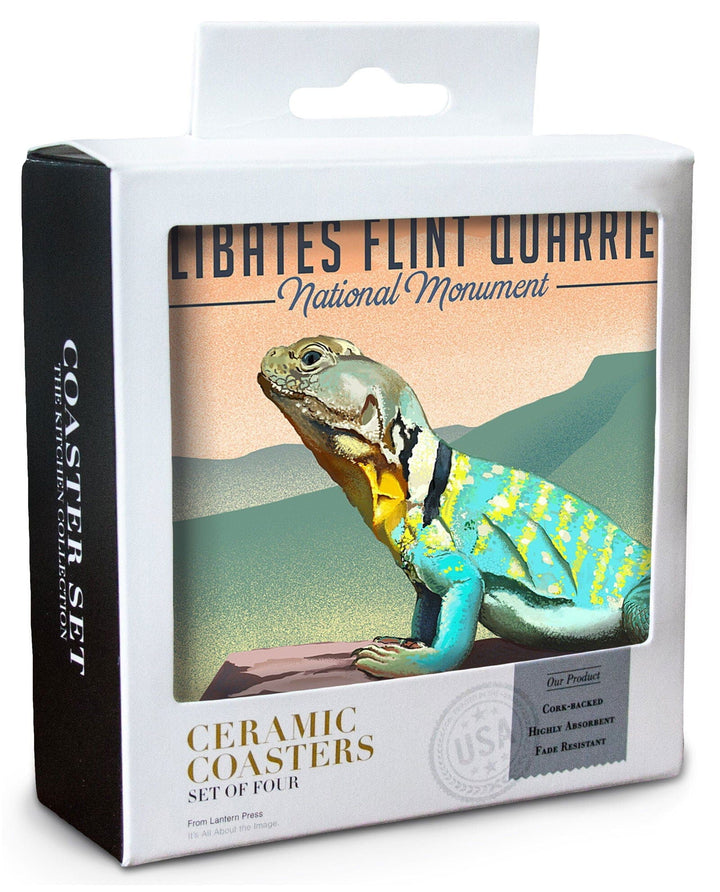 Alibates Flint Quarries National Monument, Texas, Collared Lizard Litho, Lantern Press Artwork, Coaster Set Coasters Lantern Press 