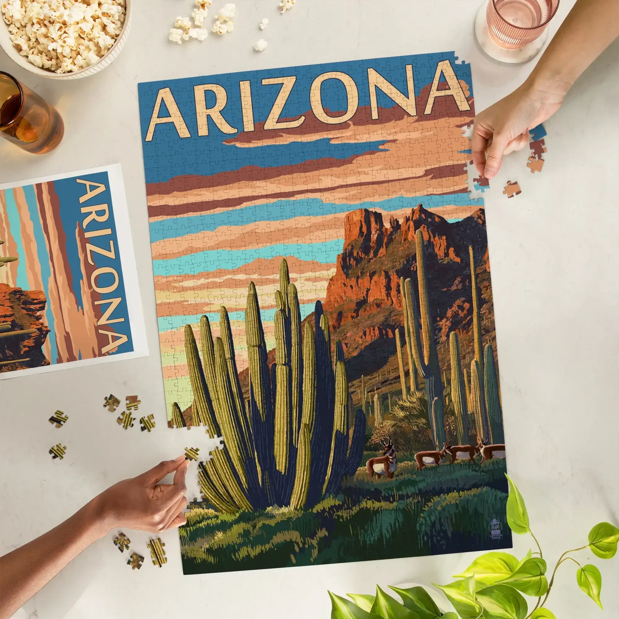 John Renbourn /Pentangle LP 4枚セット Arizona, Organ Pipe Cactus, 1000 piece jigsaw puzzle – Lantern Press