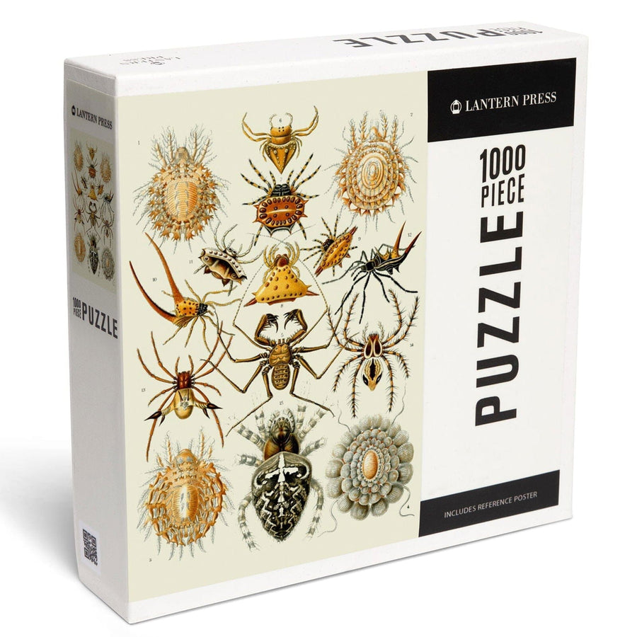 Art Forms of Nature, Arachnida (Spiders), Ernst Haeckel Artwork, Jigsaw Puzzle Puzzle Lantern Press 