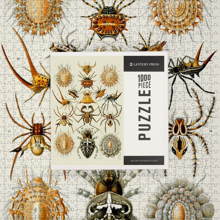 Art Forms of Nature, Arachnida (Spiders), Ernst Haeckel Artwork, Jigsaw Puzzle Puzzle Lantern Press 