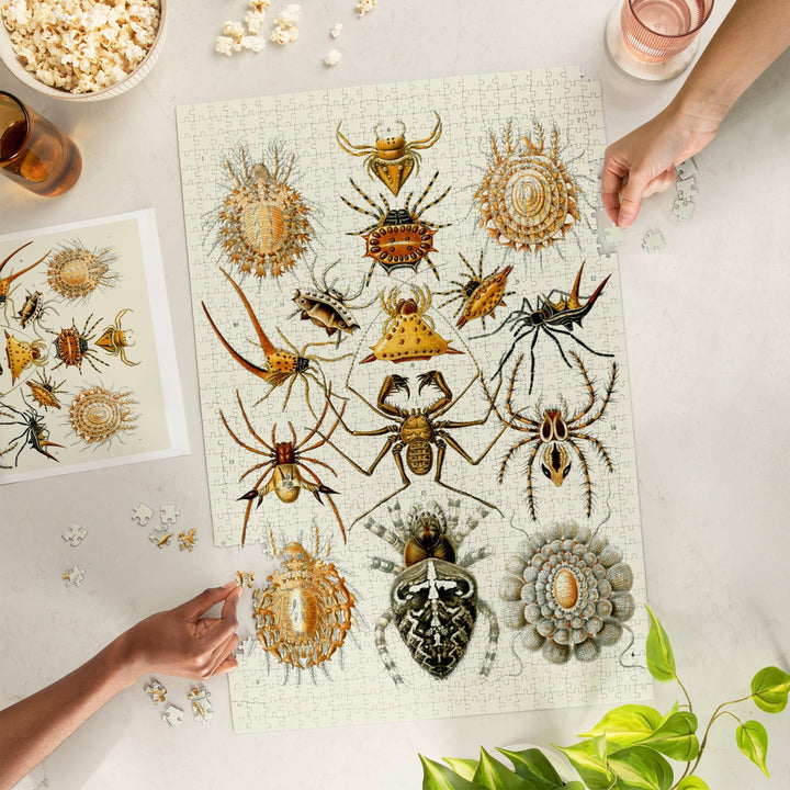 Art Forms of Nature, Arachnida (Spiders), Ernst Haeckel Artwork, Jigsaw Puzzle Puzzle Lantern Press 