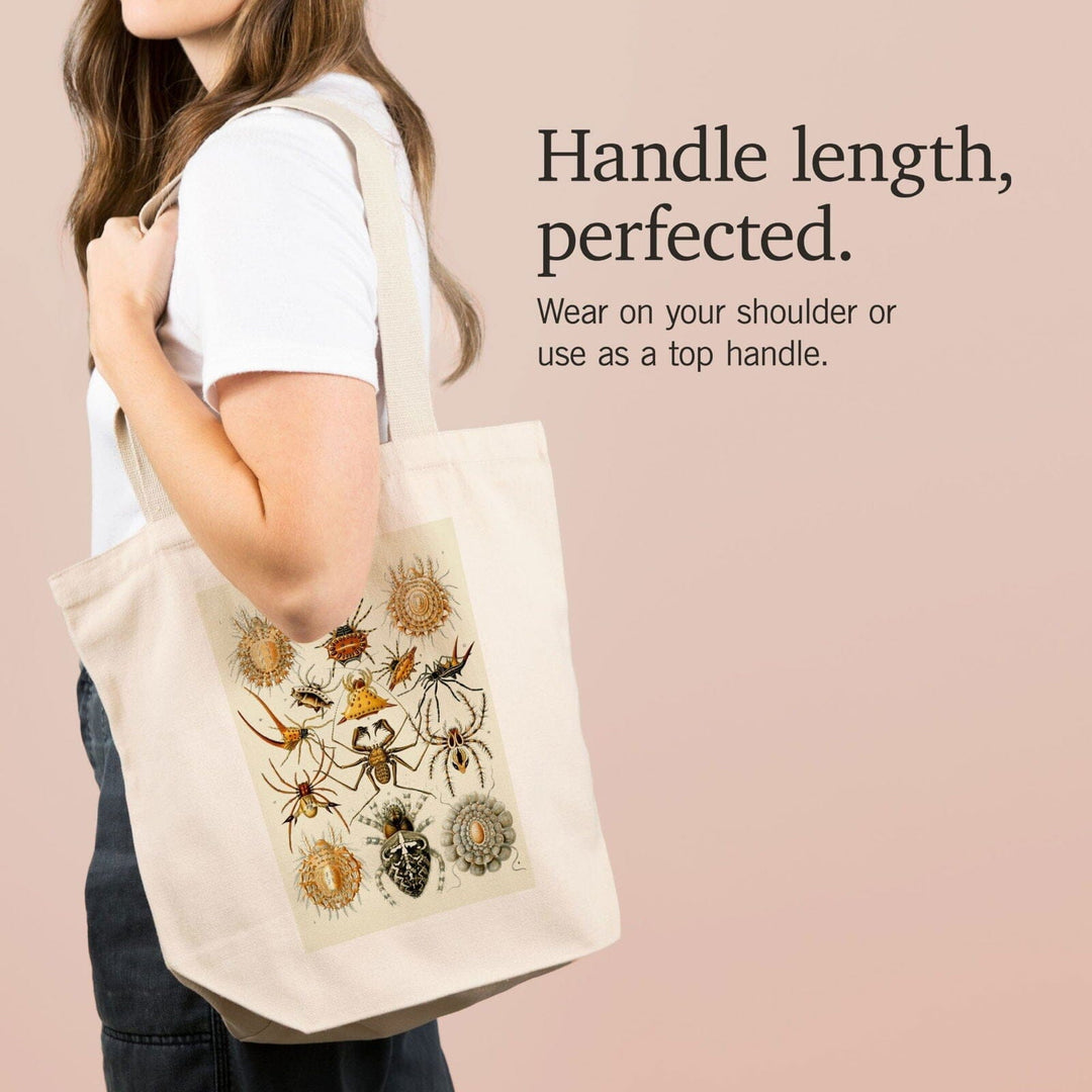 Art Forms of Nature, Arachnida (Spiders), Ernst Haeckel Artwork, Tote Bag Totes Lantern Press 