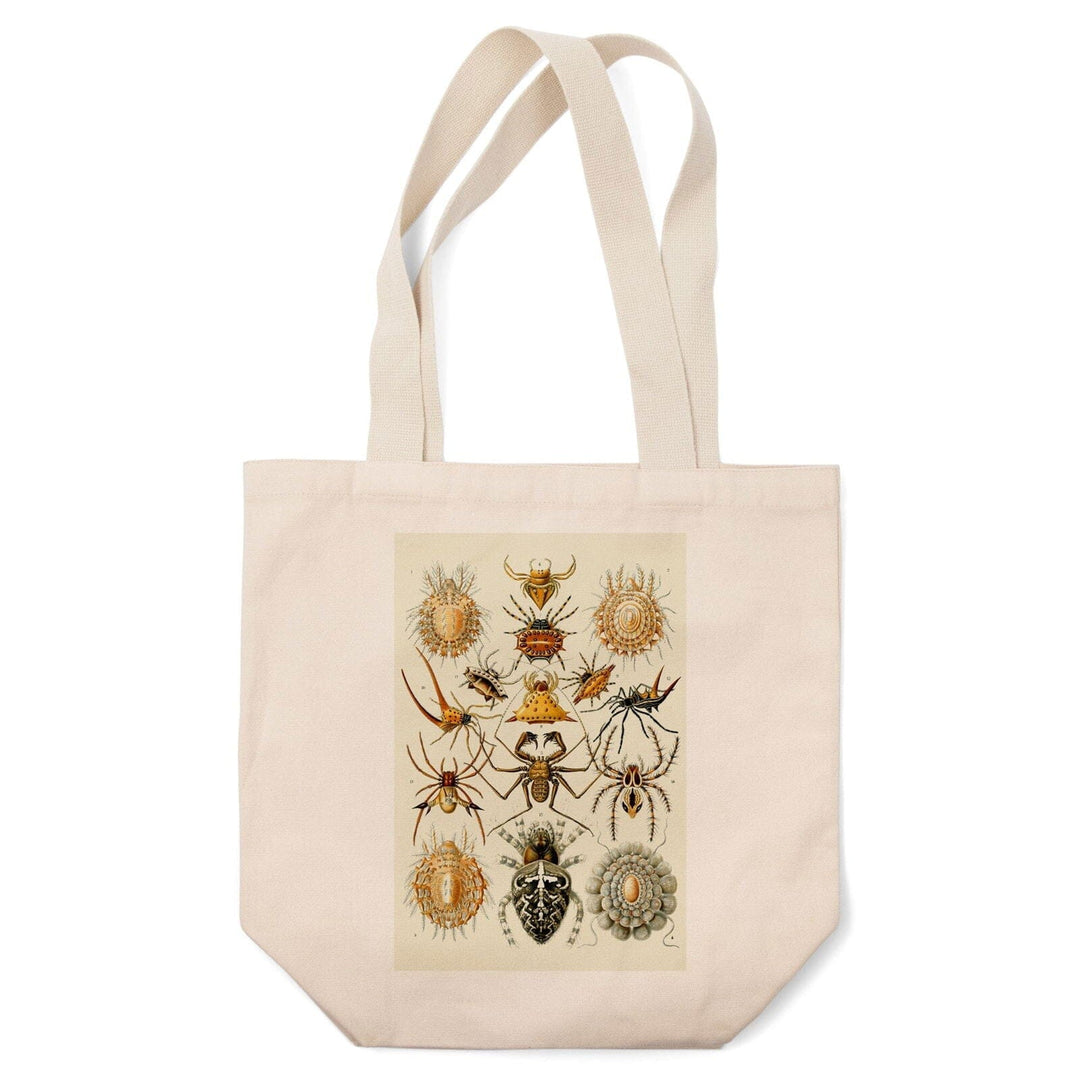 Art Forms of Nature, Arachnida (Spiders), Ernst Haeckel Artwork, Tote Bag Totes Lantern Press 