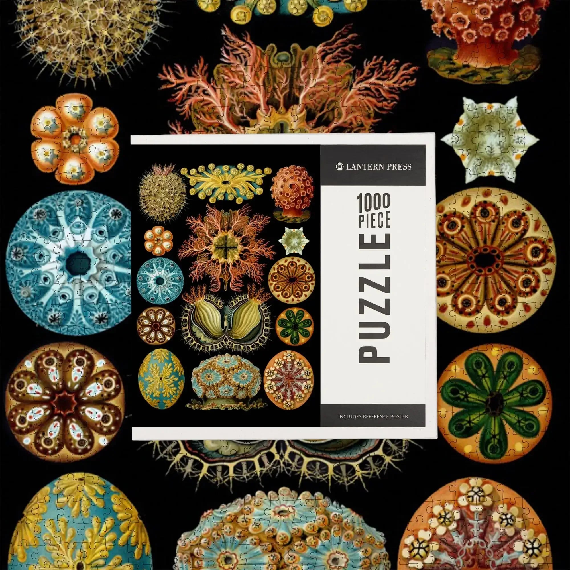Art Forms of Nature, Ascidiae, Ernst Haeckel Artwork, 1000 piece