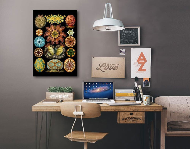 Art Forms of Nature, Ascidiae, Ernst Haeckel Artwork, Stretched Canvas Canvas Lantern Press 