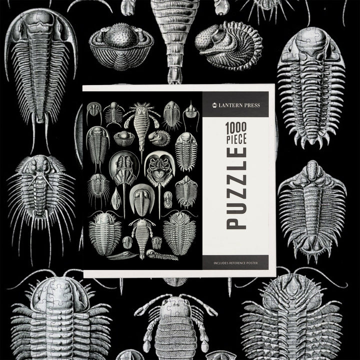 Art Forms of Nature, Aspidonia (Horseshoe Crabs), Ernst Haeckel Artwork, Jigsaw Puzzle Puzzle Lantern Press 
