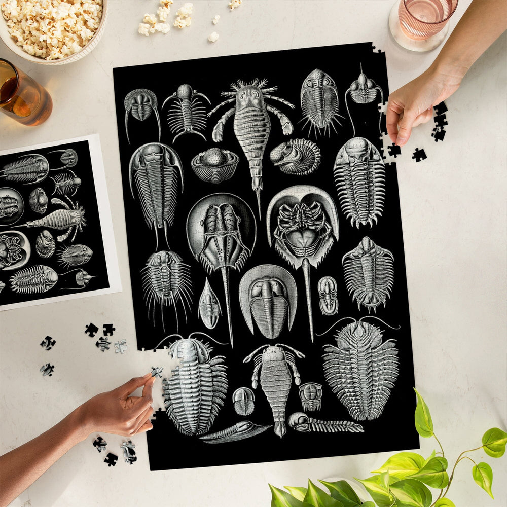 Art Forms of Nature, Aspidonia (Horseshoe Crabs), Ernst Haeckel Artwork, Jigsaw Puzzle Puzzle Lantern Press 