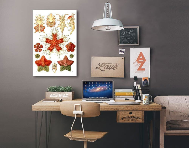 Art Forms of Nature, Asteridea, Ernst Haeckel Artwork, Art & Giclee Prints Art Lantern Press 