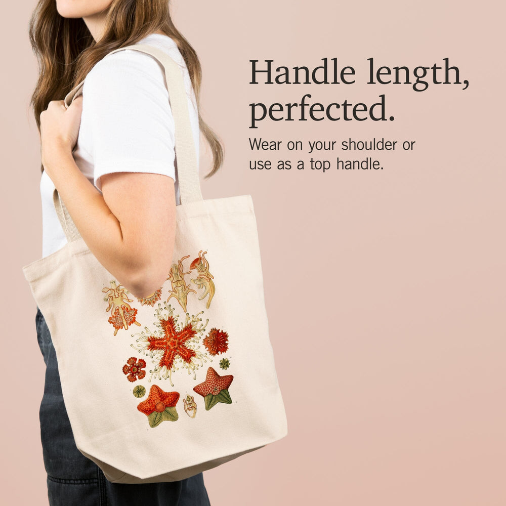 Art Forms of Nature, Asteridea, Ernst Haeckel Artwork, Tote Bag Totes Lantern Press 
