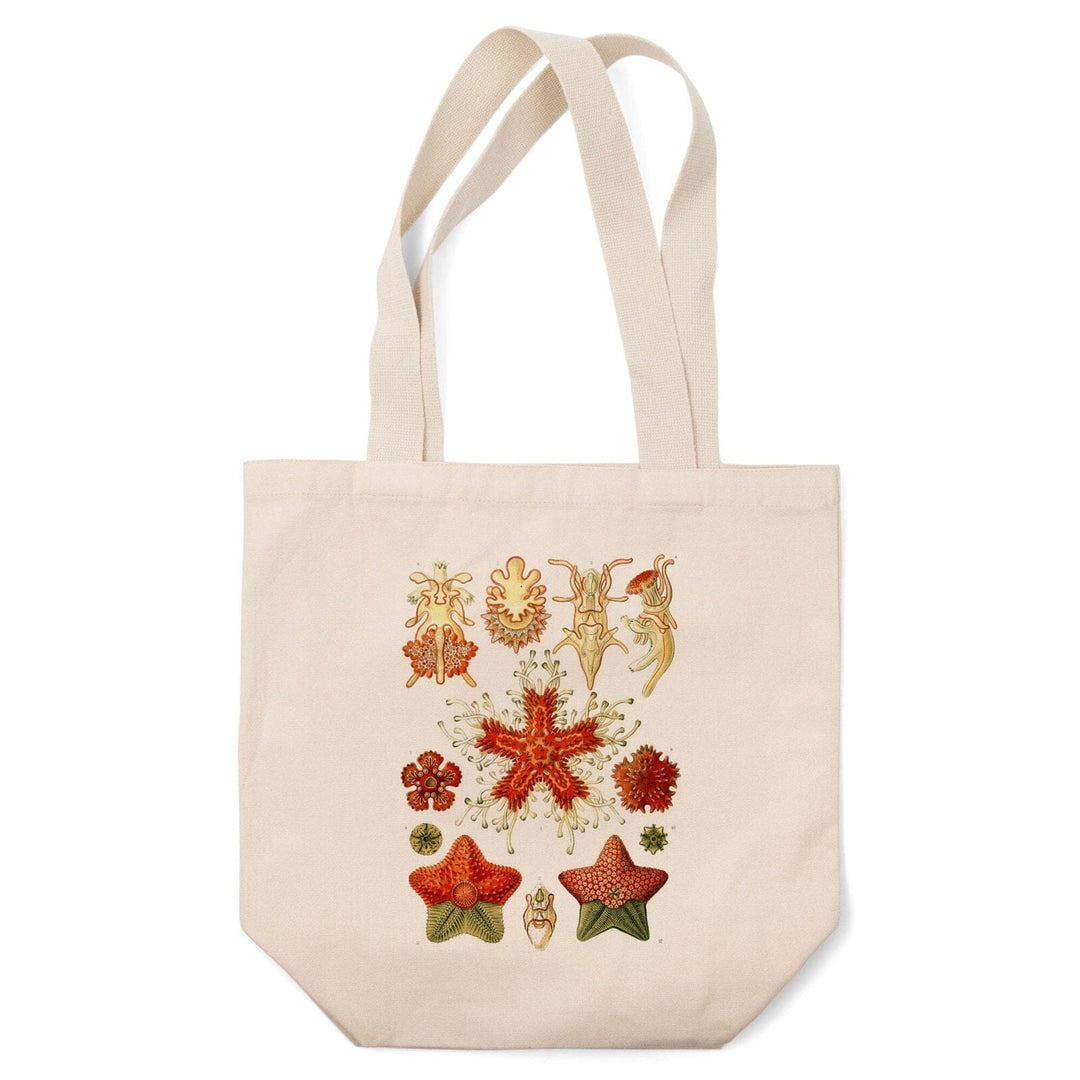 Art Forms of Nature, Asteridea, Ernst Haeckel Artwork, Tote Bag Totes Lantern Press 