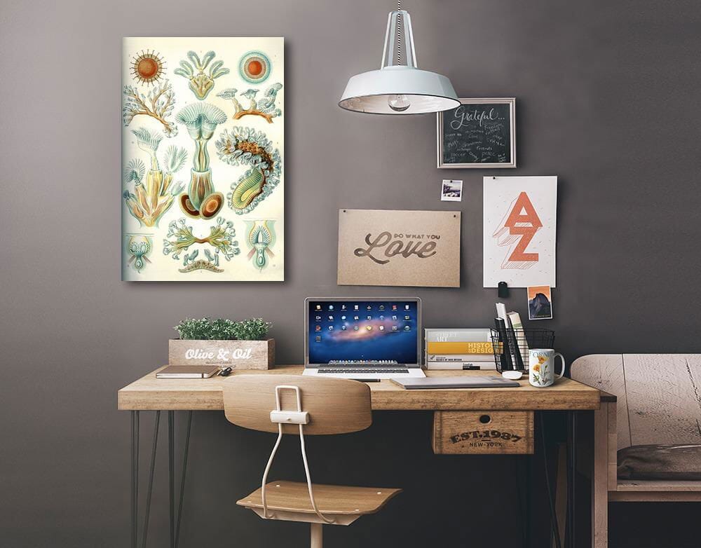 Art Forms of Nature, Bryozoa (light), Ernst Haeckel Artwork, Art & Giclee Prints Art Lantern Press 