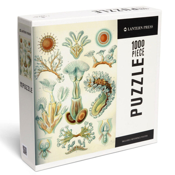 Art Forms of Nature, Bryozoa (light), Ernst Haeckel Artwork, Jigsaw Puzzle Puzzle Lantern Press 