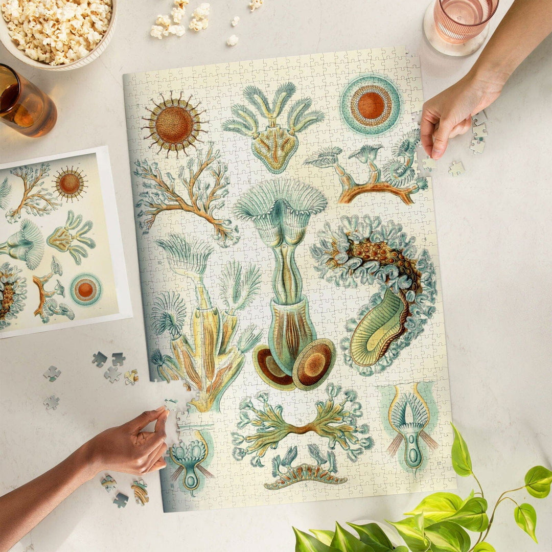 Art Forms of Nature, Bryozoa (light), Ernst Haeckel Artwork, Jigsaw Puzzle Puzzle Lantern Press 