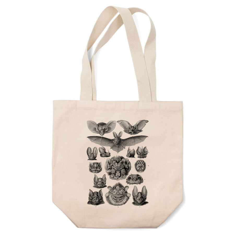 Art Forms of Nature, Chiroptera (Bats), Ernst Haeckel Artwork, Tote Bag Totes Lantern Press 