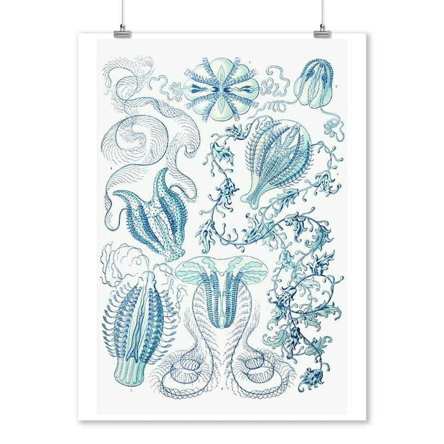 Art Forms of Nature, Ctenophorae, Ernst Haeckel Artwork, Art & Giclee Prints Art Lantern Press 