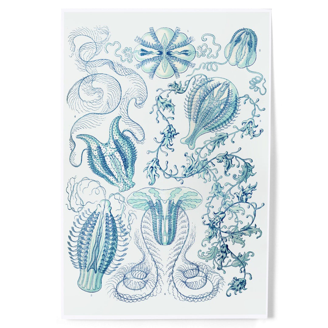 Art Forms of Nature, Ctenophorae, Ernst Haeckel Artwork, Art & Giclee Prints Art Lantern Press 