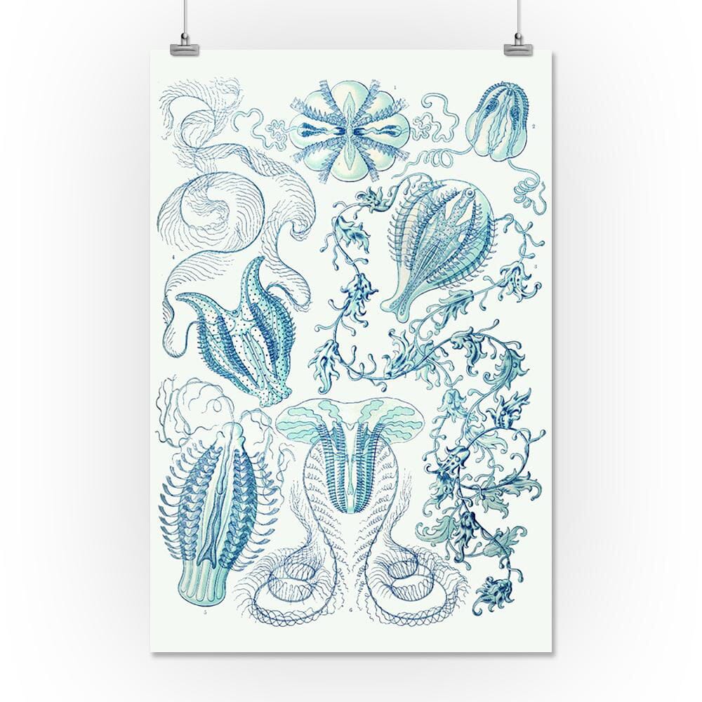 Art Forms of Nature, Ctenophorae, Ernst Haeckel Artwork, Art & Giclee Prints Art Lantern Press 