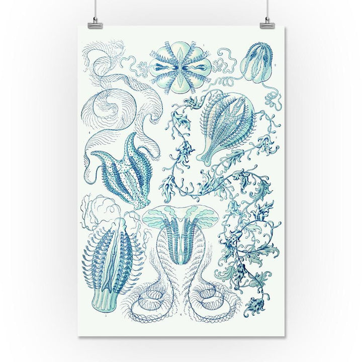 Art Forms of Nature, Ctenophorae, Ernst Haeckel Artwork, Art & Giclee Prints Art Lantern Press 