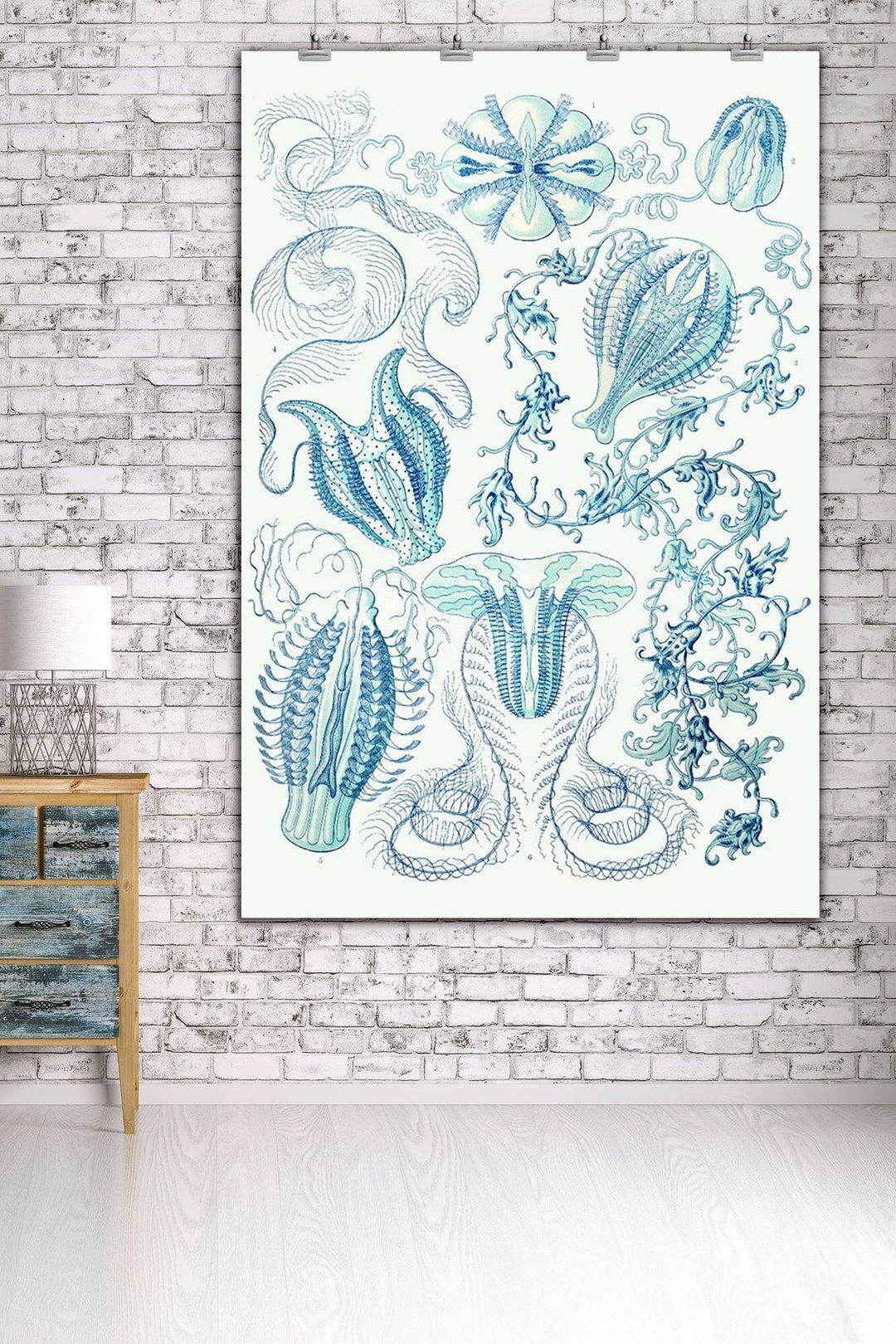 Art Forms of Nature, Ctenophorae, Ernst Haeckel Artwork, Art & Giclee Prints Art Lantern Press 