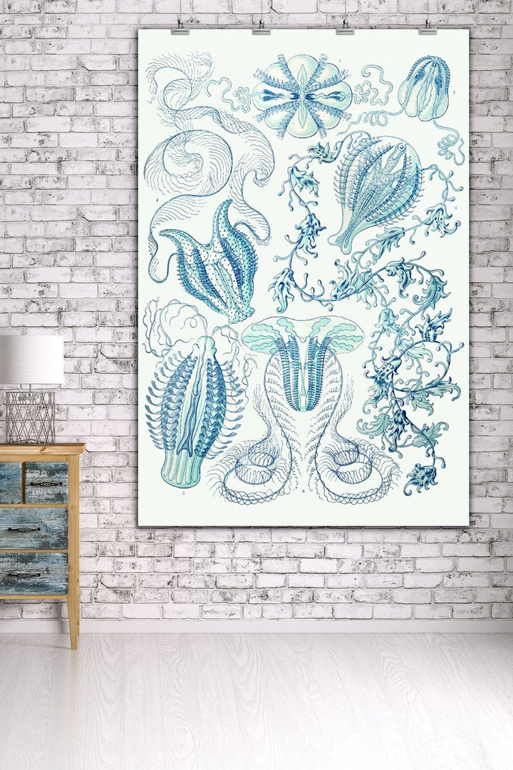 Art Forms of Nature, Ctenophorae, Ernst Haeckel Artwork, Art & Giclee Prints Art Lantern Press 