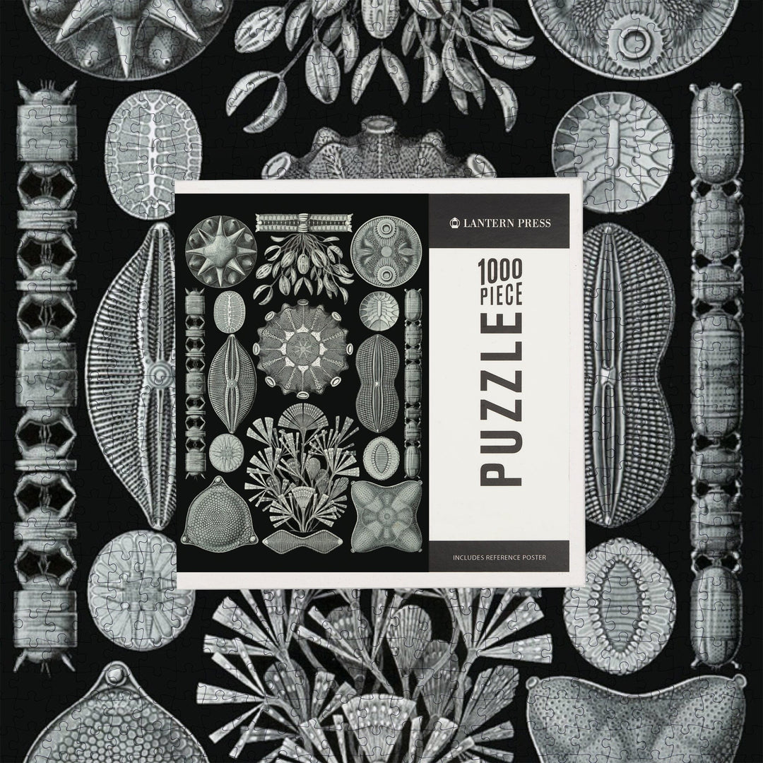 Art Forms of Nature, Diatomea, Ernst Haeckel Artwork, Jigsaw Puzzle Puzzle Lantern Press 