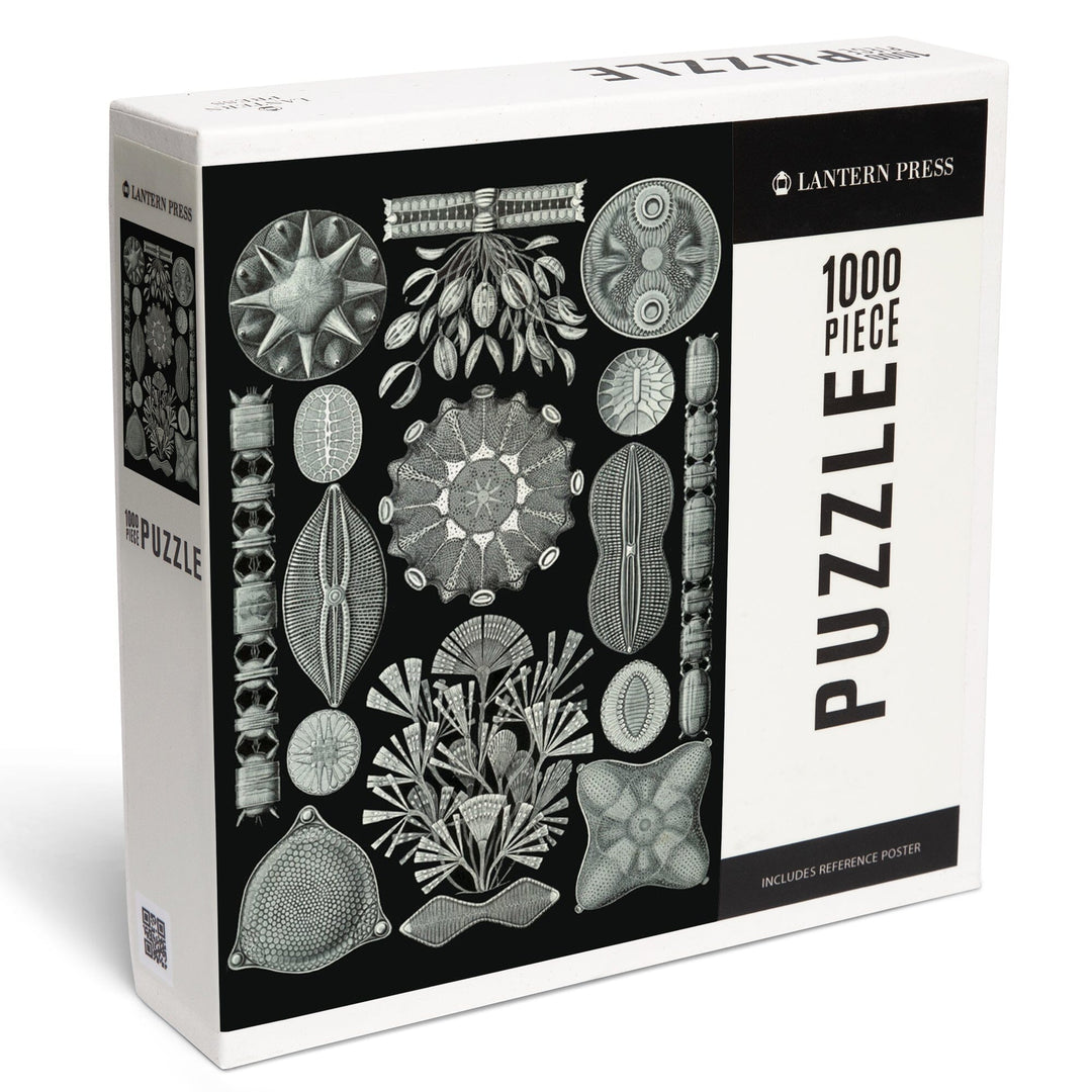 Art Forms of Nature, Diatomea, Ernst Haeckel Artwork, Jigsaw Puzzle Puzzle Lantern Press 