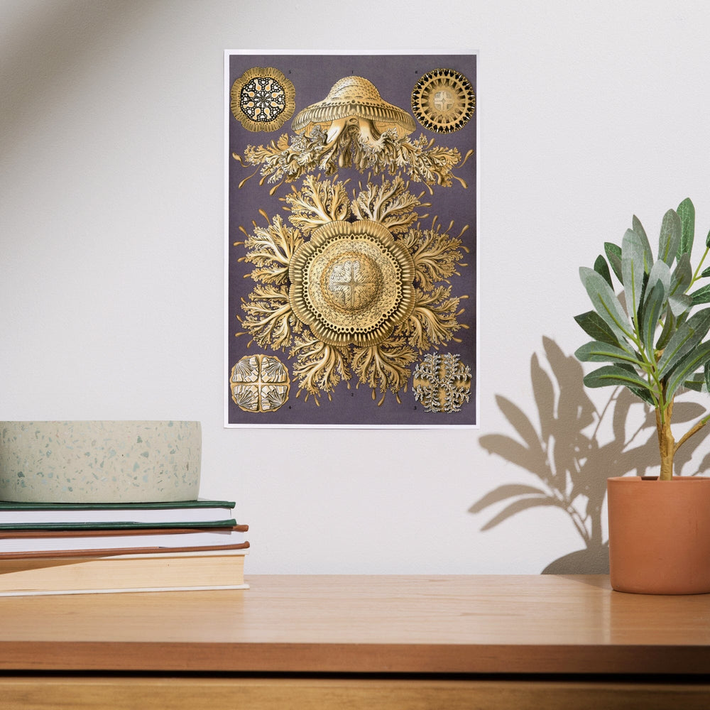 Art Forms of Nature, Discomedusae Yellow (Jellyfish), Ernst Haeckel Artwork, Art & Giclee Prints Art Lantern Press 