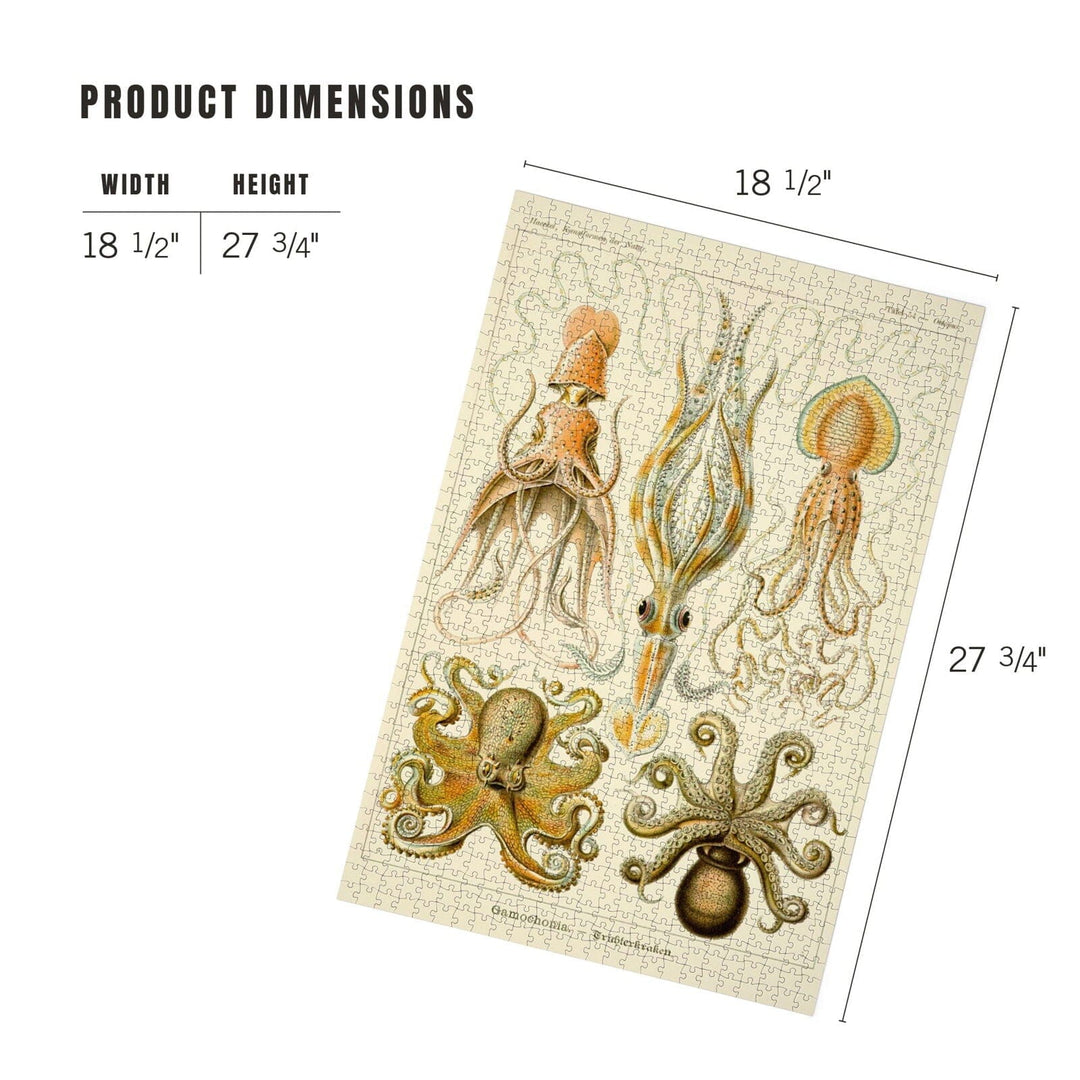 Art Forms of Nature, Gamochonia (Octopuses and Squids), Ernst Haeckel Artwork, Jigsaw Puzzle Puzzle Lantern Press 