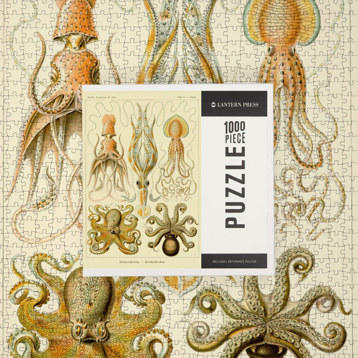 Art Forms of Nature, Gamochonia (Octopuses and Squids), Ernst Haeckel Artwork, Jigsaw Puzzle Puzzle Lantern Press 