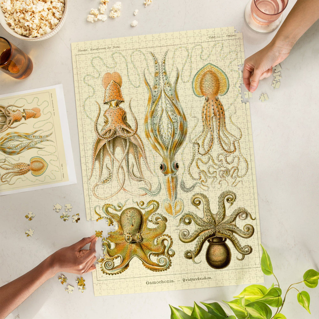 Art Forms of Nature, Gamochonia (Octopuses and Squids), Ernst Haeckel Artwork, Jigsaw Puzzle Puzzle Lantern Press 