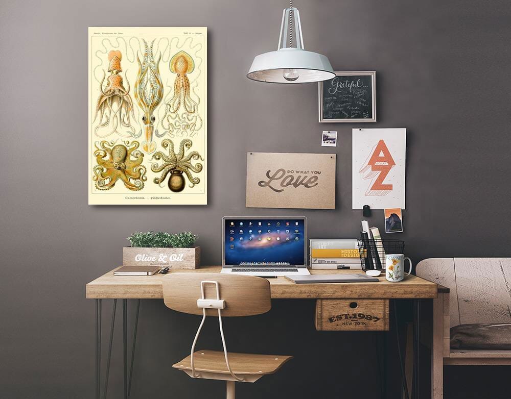 Art Forms of Nature, Gamochonia (Octopuses & Squids), Ernst Haeckel Artwork, Stretched Canvas Canvas Lantern Press 