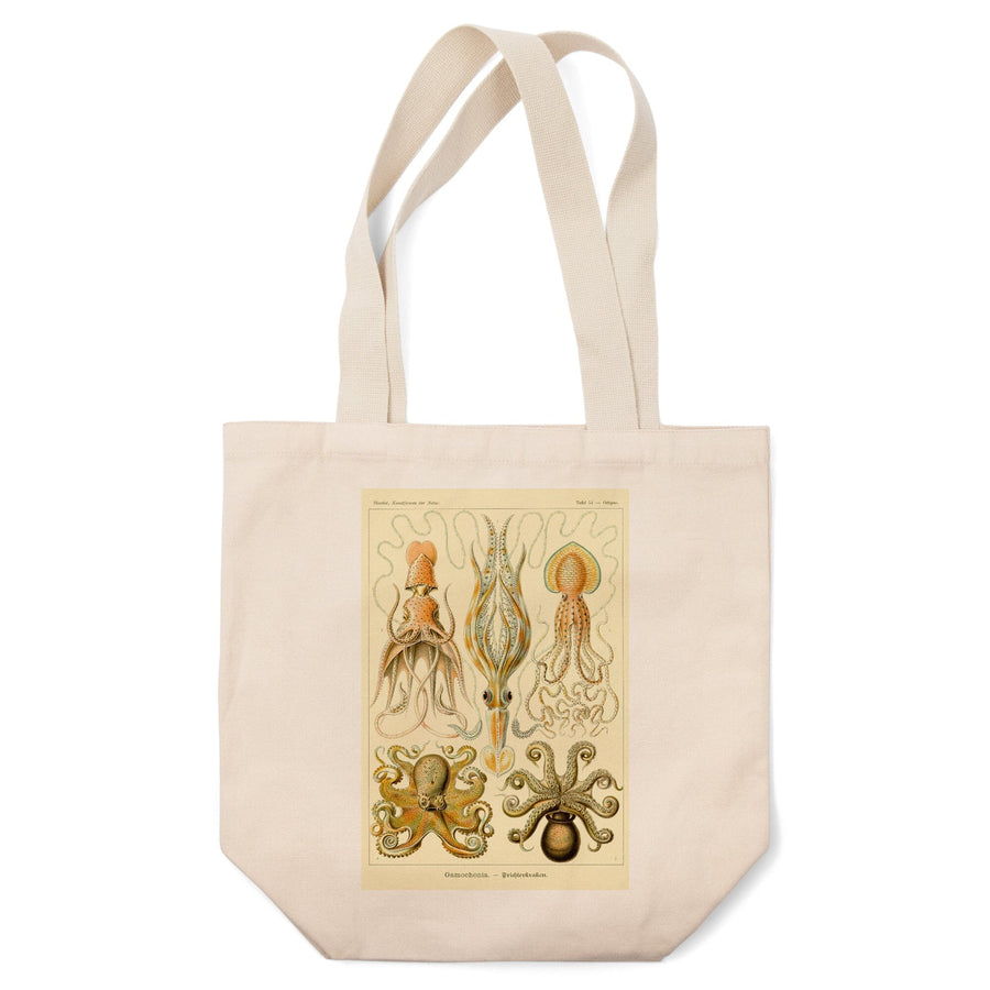 Art Forms of Nature, Gamochonia (Octopuses & Squids), Ernst Haeckel Artwork, Tote Bag Totes Lantern Press 