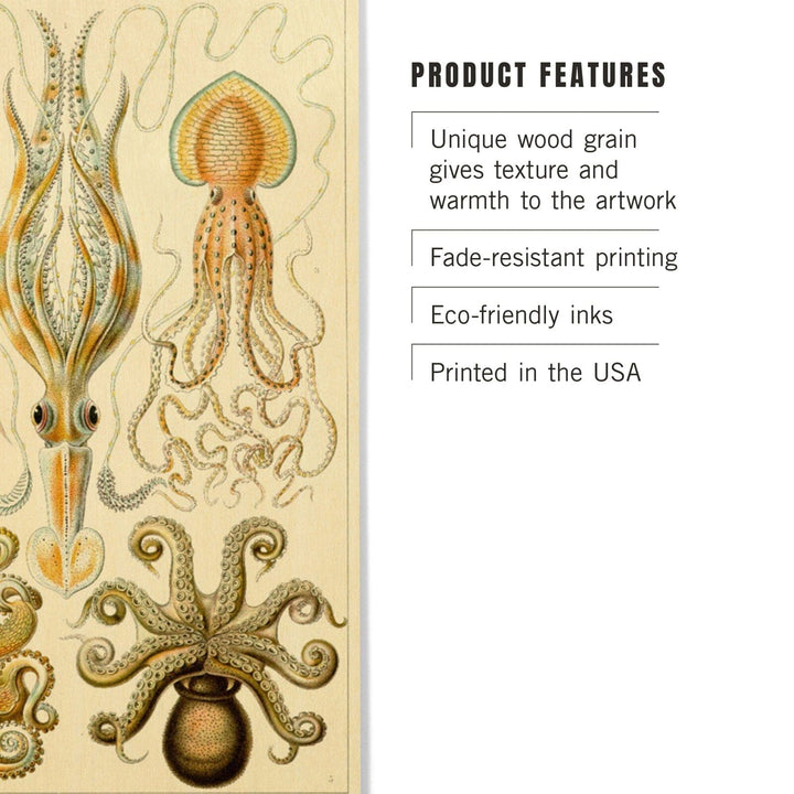 Art Forms of Nature, Gamochonia (Octopuses & Squids), Ernst Haeckel Artwork, Wood Signs and Postcards Wood Lantern Press 