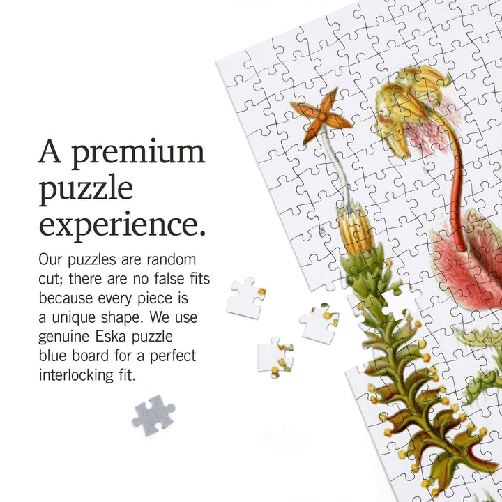 Art Forms of Nature, Hepaticae (Flowers), Ernst Haeckel Artwork, Jigsaw Puzzle Puzzle Lantern Press 