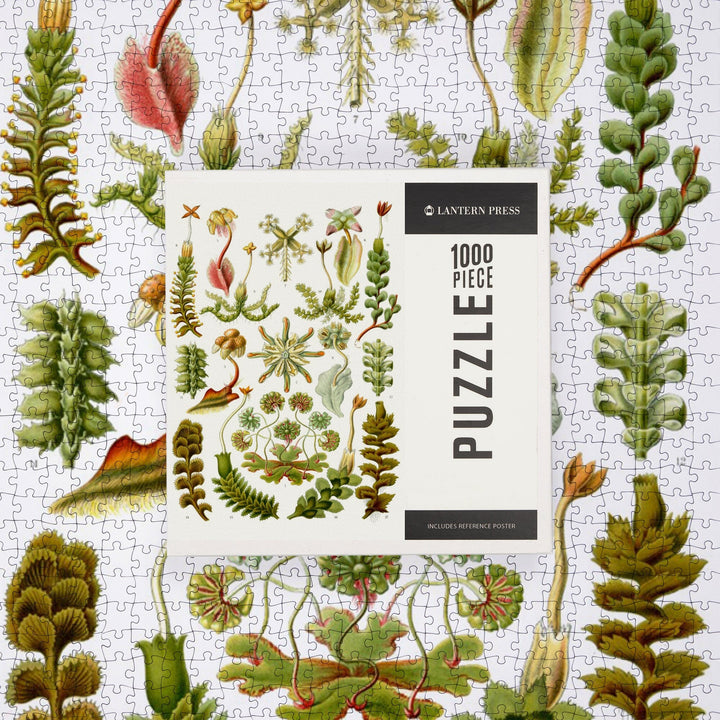 Art Forms of Nature, Hepaticae (Flowers), Ernst Haeckel Artwork, Jigsaw Puzzle Puzzle Lantern Press 