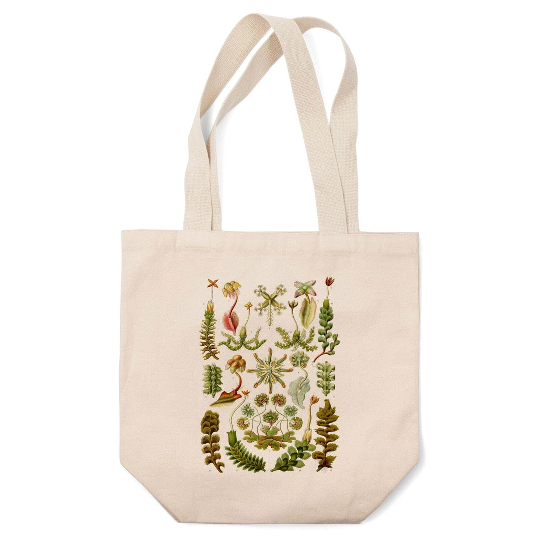 Art Forms of Nature, Hepaticae (Flowers), Ernst Haeckel Artwork, Tote Bag Totes Lantern Press 