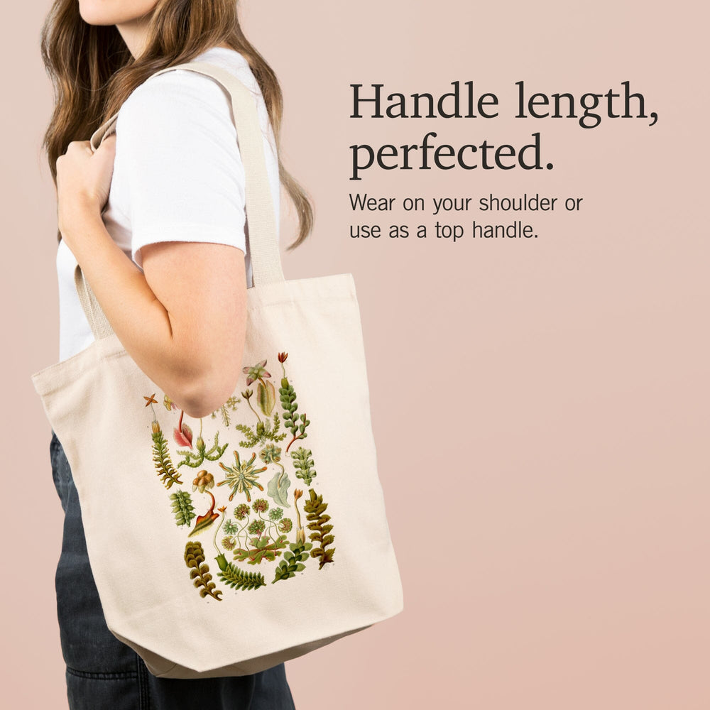 Art Forms of Nature, Hepaticae (Flowers), Ernst Haeckel Artwork, Tote Bag Totes Lantern Press 