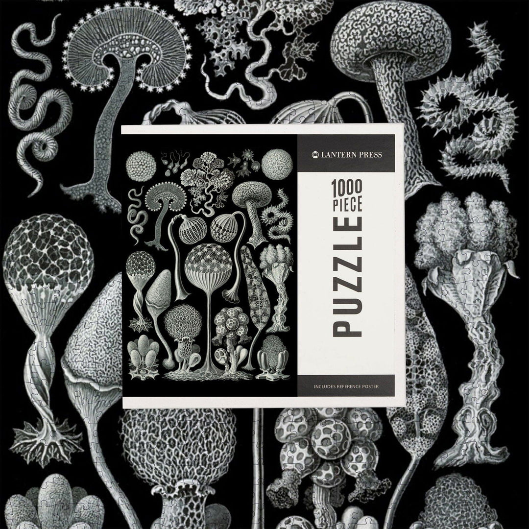 Art Forms of Nature, Mycetozoa (Slime Mold), Ernst Haeckel Artwork, Jigsaw Puzzle Puzzle Lantern Press 